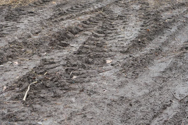 타이어는 진흙에서 자동차 바퀴의 — 스톡 사진