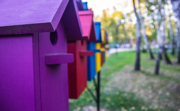 Kleurrijke Huizen Voor Vogels — Stockfoto