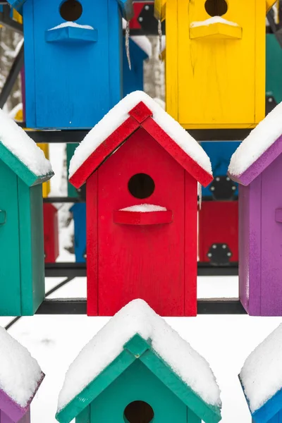 Kleurrijke Nestkastjes Voor Vogels Sneeuw — Stockfoto