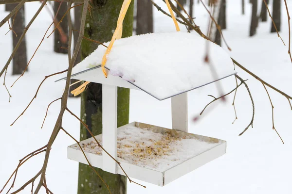 Feeder Voor Vogels Winter Forest — Stockfoto
