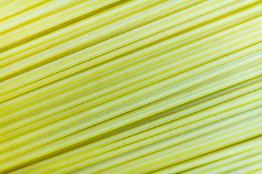 Pişmemiş makarna. Arka plan pişmemiş makarna. Makarna yakın çekim.