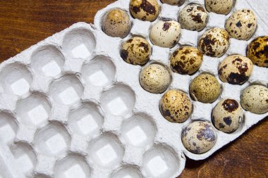 Bir kutu içinde bıldırcın yumurtası. Metniniz için yer.