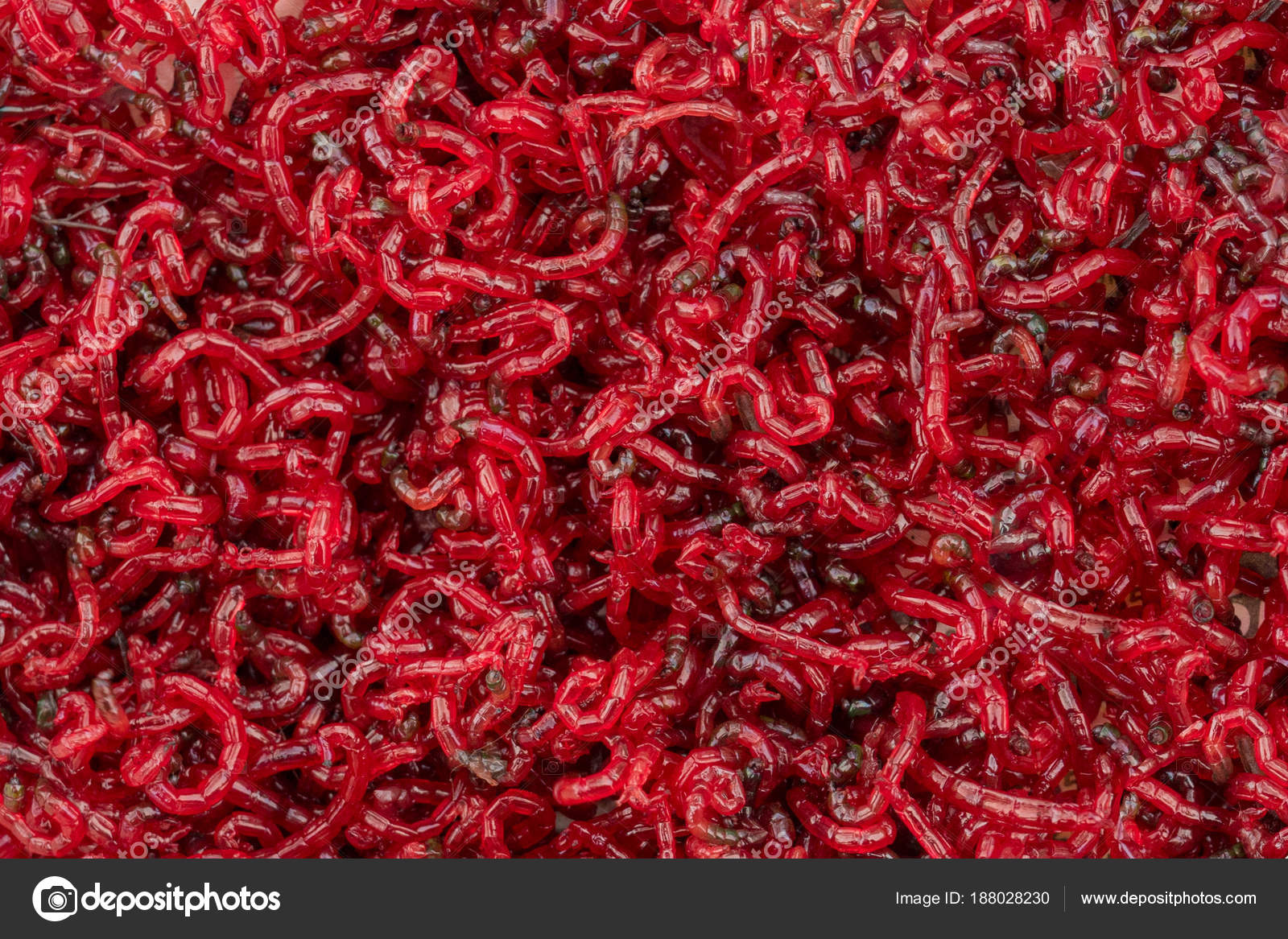 Bloodworm. Feed for fish. A closeup photograph. Stock Photo by ©cs.zlo