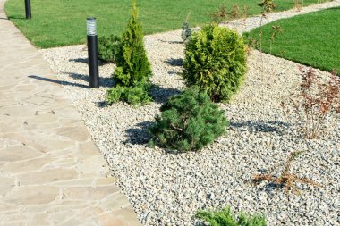 Özel bir bahçede peyzaj. Doğal taş kaldırım ve yeşil çimen.