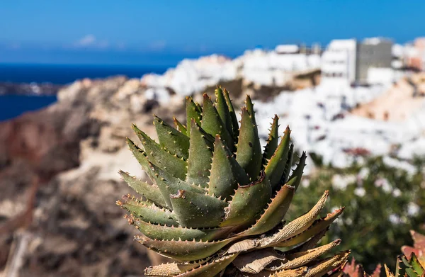 Incredibly romantic Santorini, Greece — Stock Photo, Image