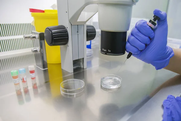 Laboratorium Embriologiczne Biotechnologia Vitro Zapłodnienie Komórek Nauka — Zdjęcie stockowe
