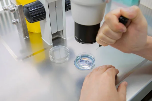 Laboratório Embriologia Biotecnologia Vitro Células Fertilização Ciência — Fotografia de Stock