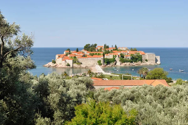 Una vista de la isla de Sveti Stefan en un día de verano con árboles de olivo y granada, Montenegro — Foto de Stock
