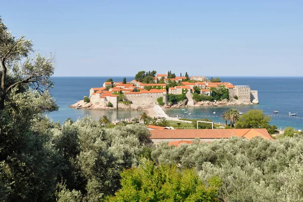 Uma vista da ilha Sveti Stefan em um dia de verão com árvores de oliveira e romã, Montenegro — Fotografia de Stock