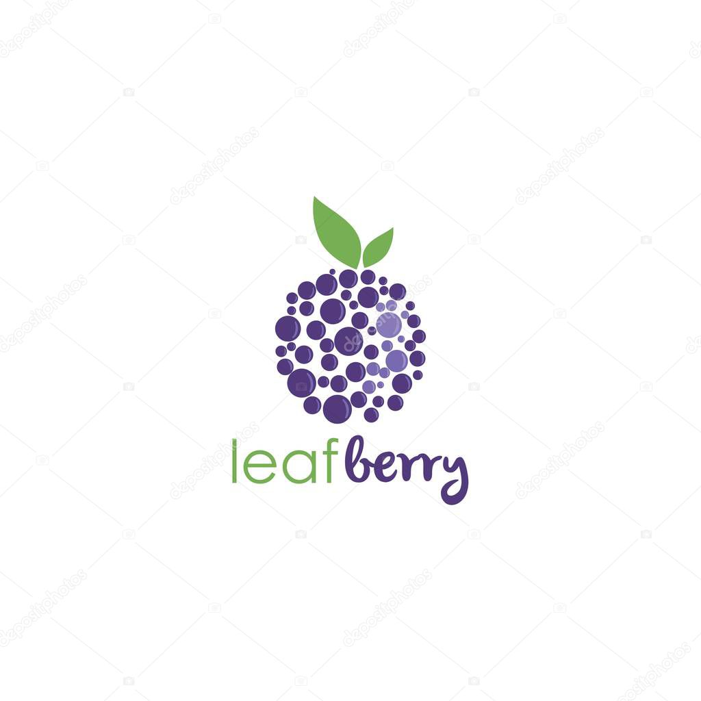 Blueberry Logo Template Vector Design Illustration