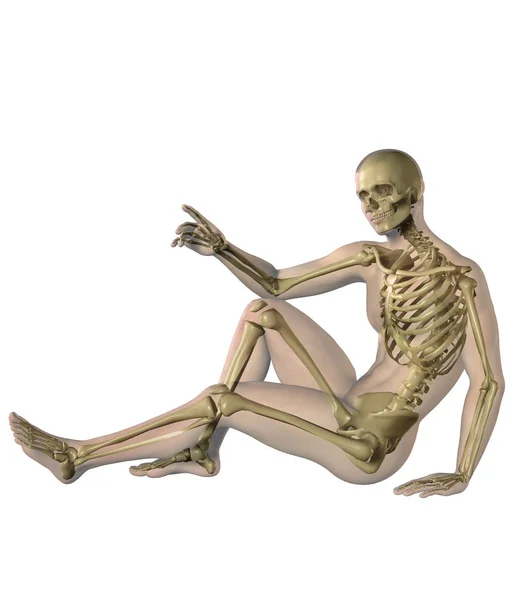 Corpo Masculino Com Esqueleto Transparência Ilustração — Fotografia de Stock