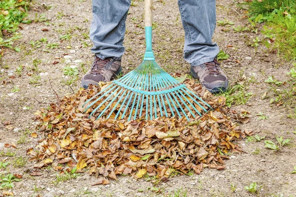 Rake on the fallen leaves — Stock Photo, Image