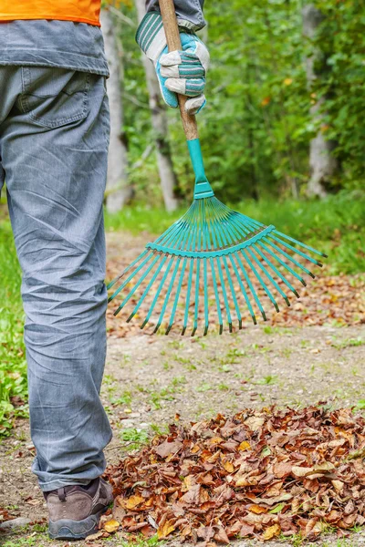Man with rake near to the fall leaves in park — Stock Photo, Image