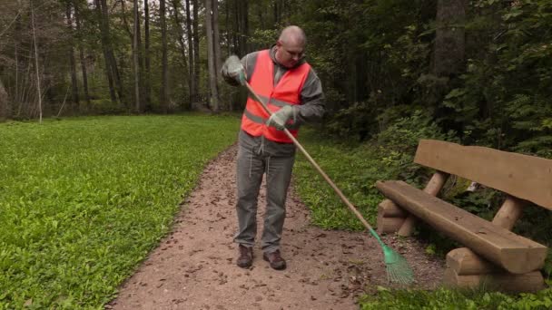 Συλλέγουν φύλλα άνθρωπος στο γρασίδι στο πάρκο — Αρχείο Βίντεο