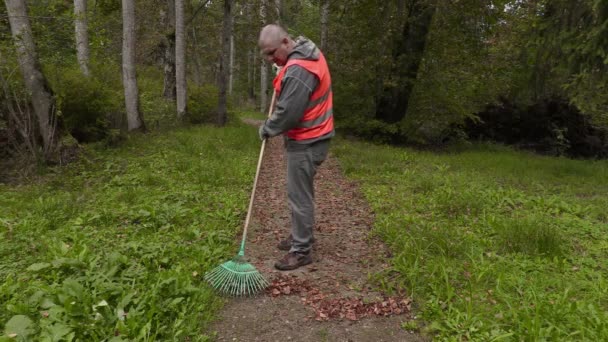 Man met rake op pad — Stockvideo