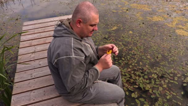 Чоловік тягне пелюстки з квітки — стокове відео