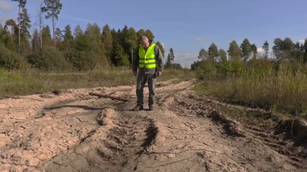 Lumberjack verificando estrada florestal — Vídeo de Stock