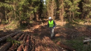 Oduncu testere kapalı günlükleri inceleyin