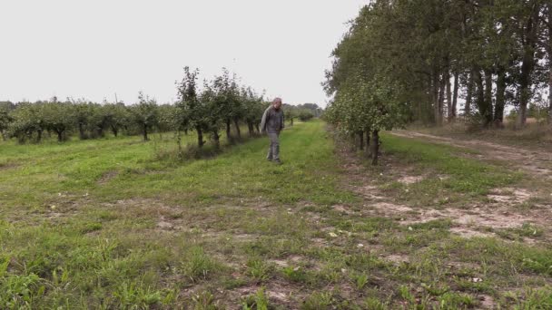 Agronom schaut sich Apfelbäume an und schreibt — Stockvideo