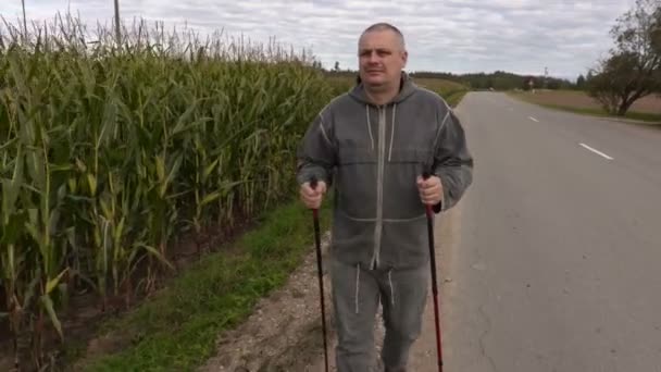 Турист с тросточками возле кукурузного поля — стоковое видео