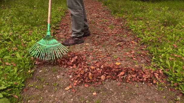 Rastrellare le foglie in autunno giorno — Video Stock