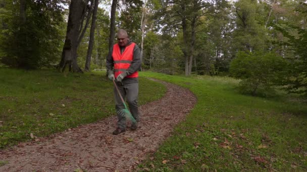 Сотрудник парка ходит и начинает собирать листья в парке — стоковое видео