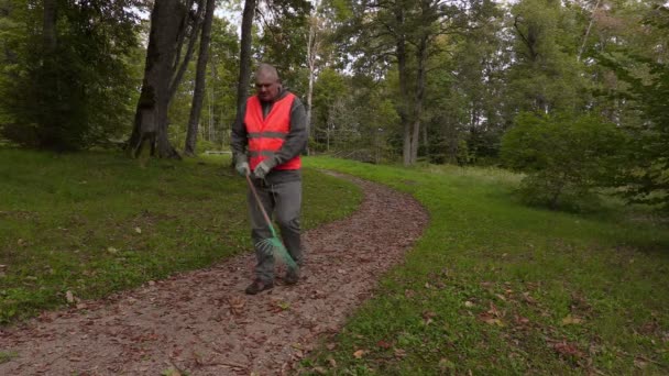 Empleado del parque caminando y empezar a recoger las hojas en el parque — Vídeos de Stock