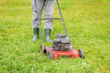 Çim biçme iterek alt peyzaj