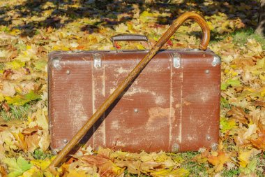 Eski bavulla baston üzerinde sonbahar yaprakları