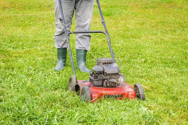 Paysager travailleur poussant tondeuse à gazon sur la pelouse — Photo