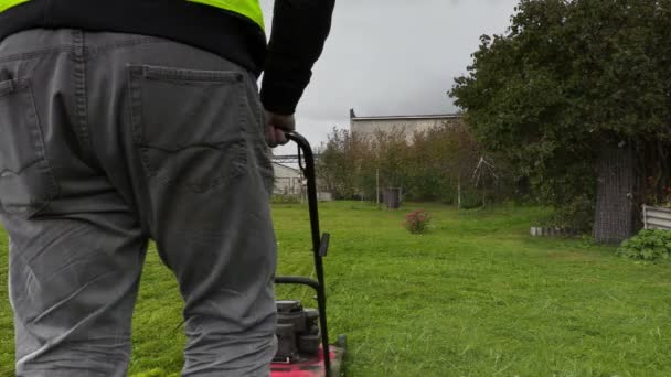 Werknemer begint maaien het gras in regenachtige dag — Stockvideo