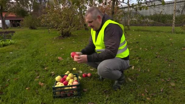 Człowiek wybiera apple i rozpoczęcia jedzenia — Wideo stockowe