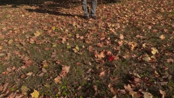 Mannen med käppen dricka kaffe i parken — Stockvideo