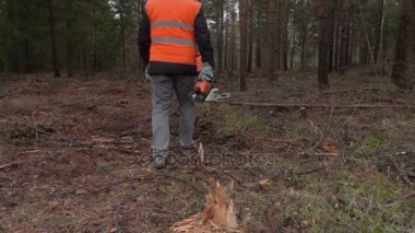 Ormanın içinde yürümek chainsaw ile oduncu