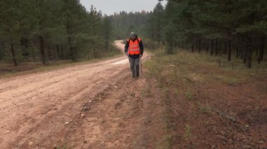 Polonyalılar orman yolu üzerinde hiking ile uzun yürüyüşe çıkan kimse