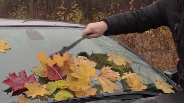 Человек моет окно машины — стоковое видео