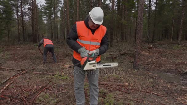 Skogshuggare som arbetar i skogen — Stockvideo
