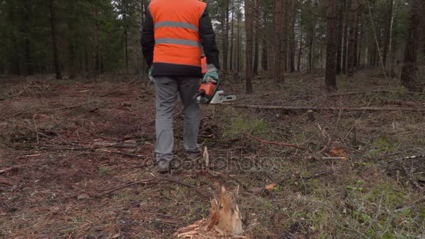 Dřevorubec s pilou chůze lesem — Stock video
