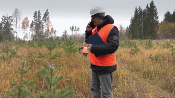 Skogsbrukare på nya tillväxt pine — Stockvideo