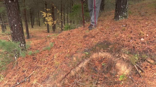 Hiker noggrant kliva ner från backarna — Stockvideo