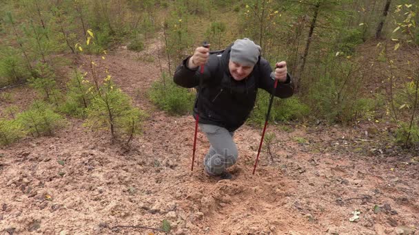 Senderista en la cima de la colina en el bosque — Vídeo de stock