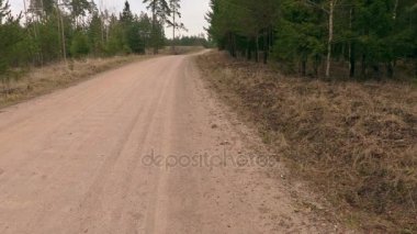 Hızlı bir şekilde kırsal yol arasında Noel Baba