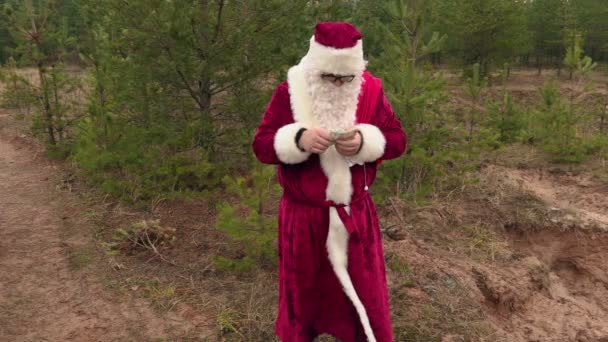 Papai Noel com saco de presente e notas de euro na floresta — Vídeo de Stock