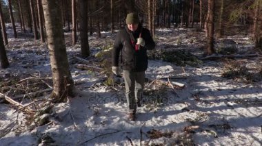 Oduncu balta tahrip ormandaki 