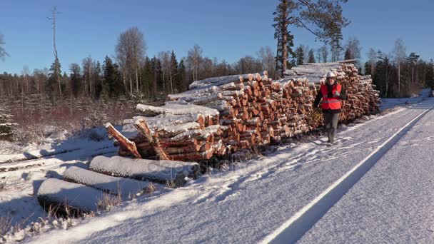 Lumberjack com corda e machado andando perto de pilha de troncos — Vídeo de Stock