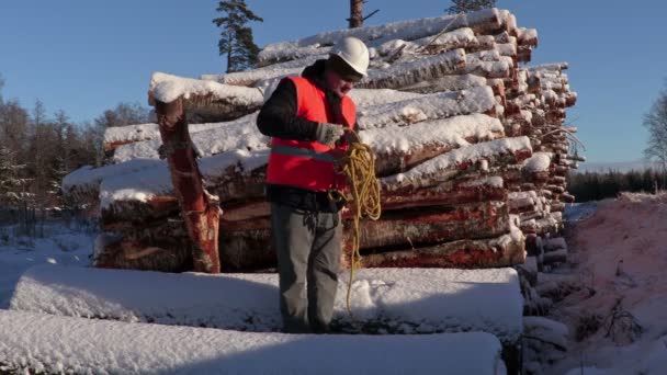 Lumberjack try collect rope near  pile of snow covered logs in winter — Stock Video
