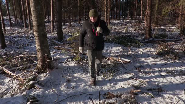 Bûcheron avec hache dans la forêt détruite — Video