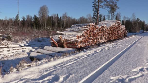 Ξυλοκόπος με σχοινί και ax, το περπάτημα κοντά σωρό από χιόνι κάλυψε κούτσουρα το χειμώνα — Αρχείο Βίντεο