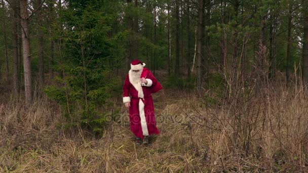 Santa Claus uit bossen voortvloeiende — Stockvideo