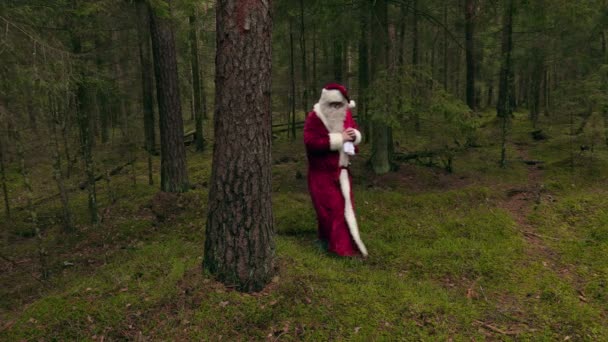 Santa Claus saluda a la cámara — Vídeo de stock